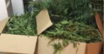 מעט מדי, מאוחר מדי