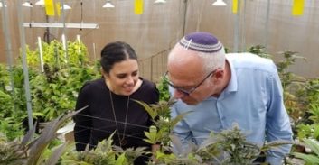 הסנגוריה הציבורית נגד חוק ארדן להפללת צרכני קנאביס