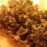 מעבדת הידרו (צילום ארכיון להמחשה: דוברות המשטרה)