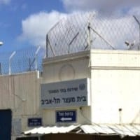 ניסה אבל לא הצליח. אבו כביר