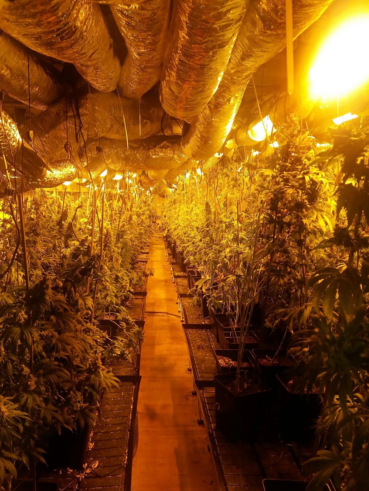 שכר דירה, ארנונה חשמל ומים ב-331 אלף שקלים בחצי שנה. צילום: דוברות המשטרה