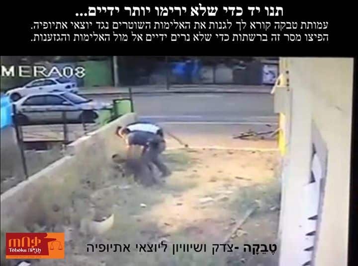 11140023 958788844153441 4897218562691436454 n