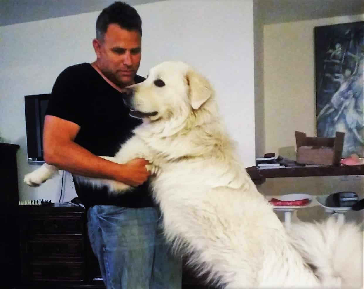 עו"ד אלון דוידוב וחבר