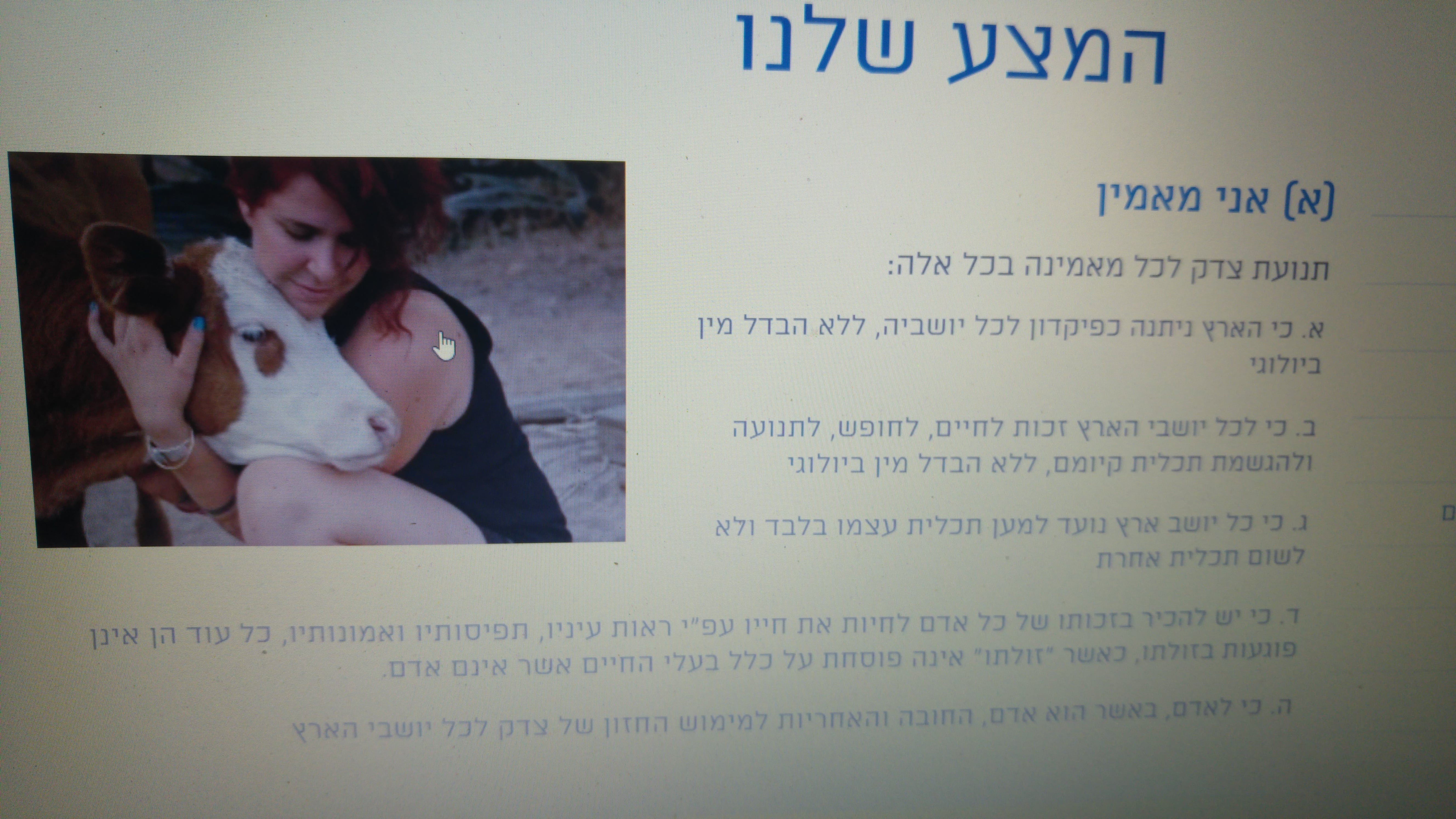 מצע המפלגה, מתוך האתר שלה