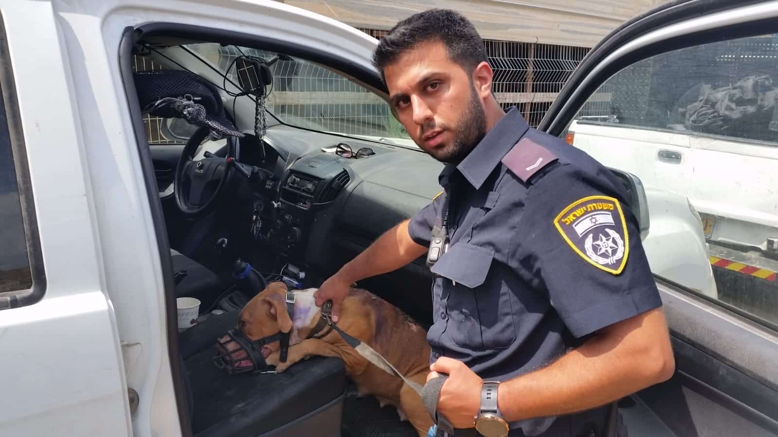 שוטר עם אחד הכלבים שהוזנחו