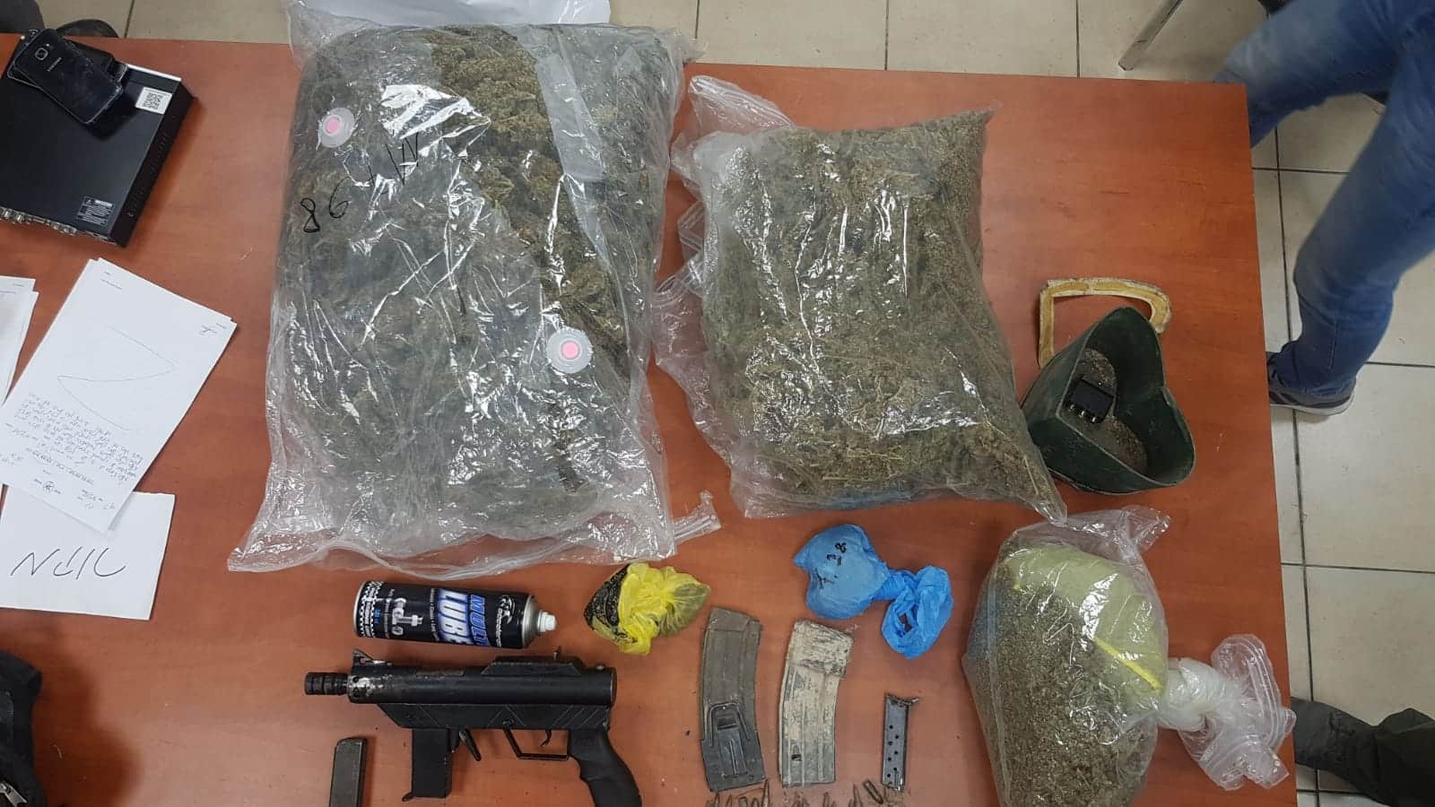 ממצאי החיפוש