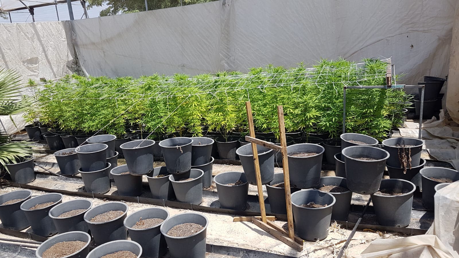 המעבדה בחגור (צילום: דוברות המשטרה)