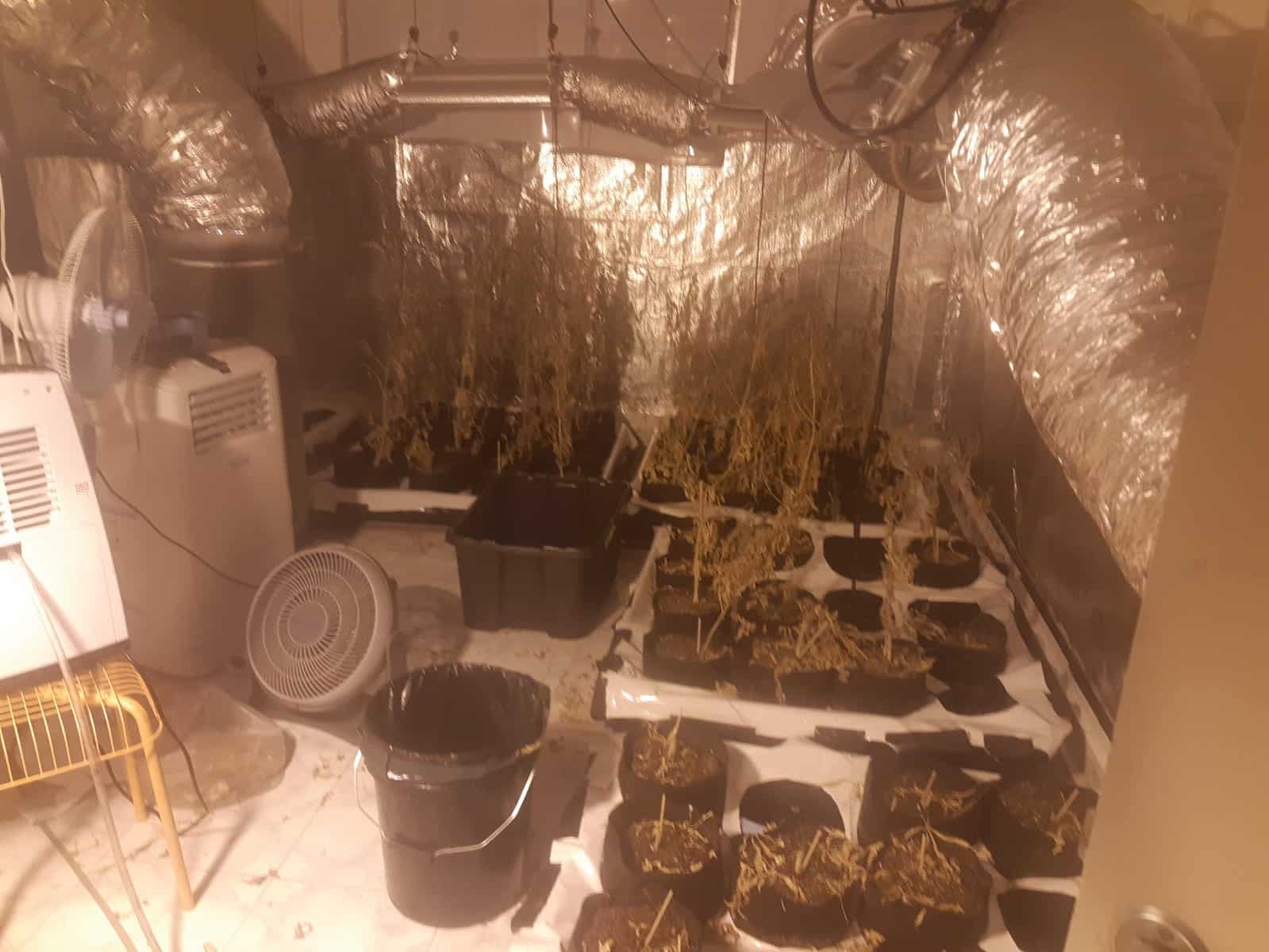 מעבדת הסמים שאותרה (צילום: משטרה)