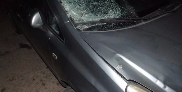 שיכור ושלושה כלבים ברכב אחד. הרכב הפוגע (צילום: דוברות המשטרה