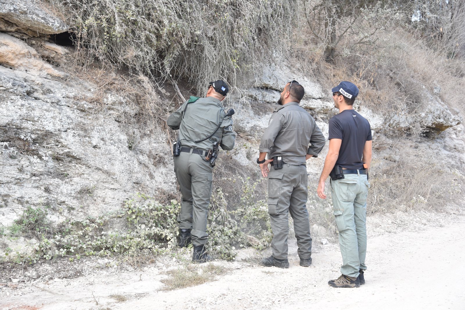 גופים רבים השתתפו במבצע