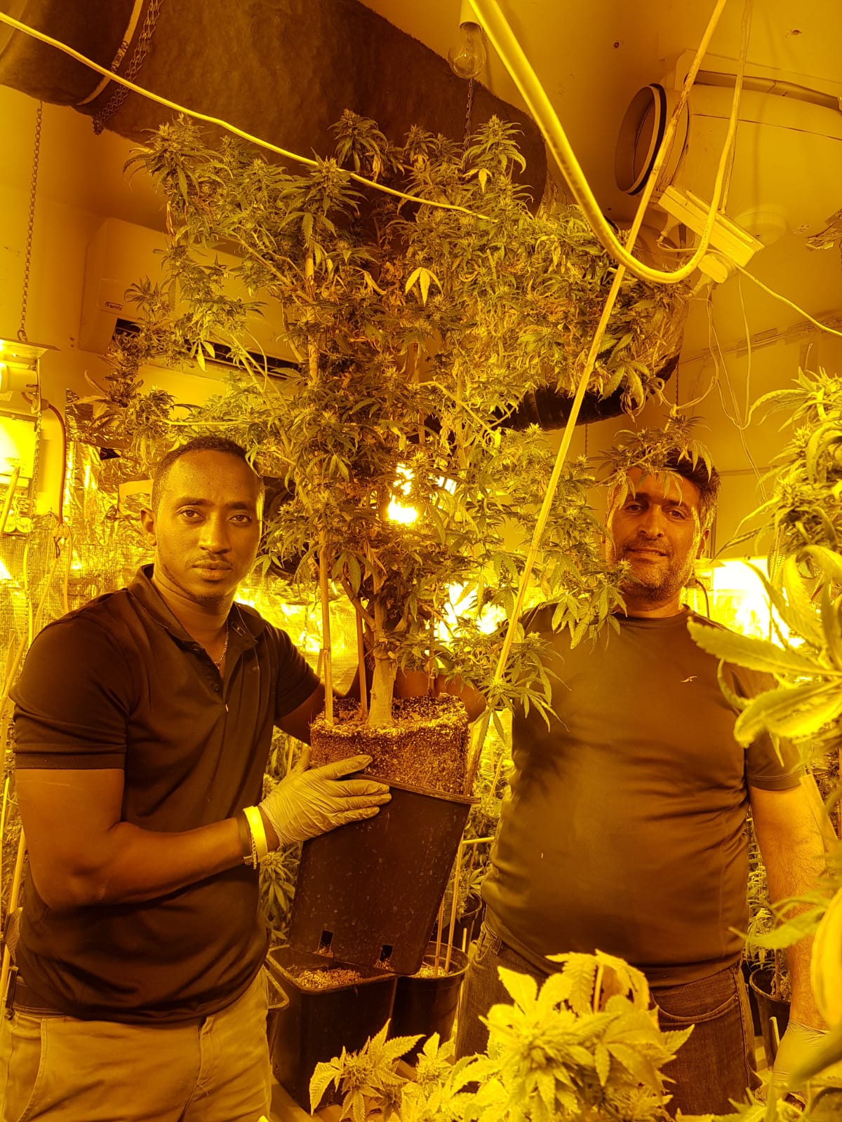 שוטרים מתחנת מסובים במעבדה שנחשפה (צילום: דוברות המשטרה)