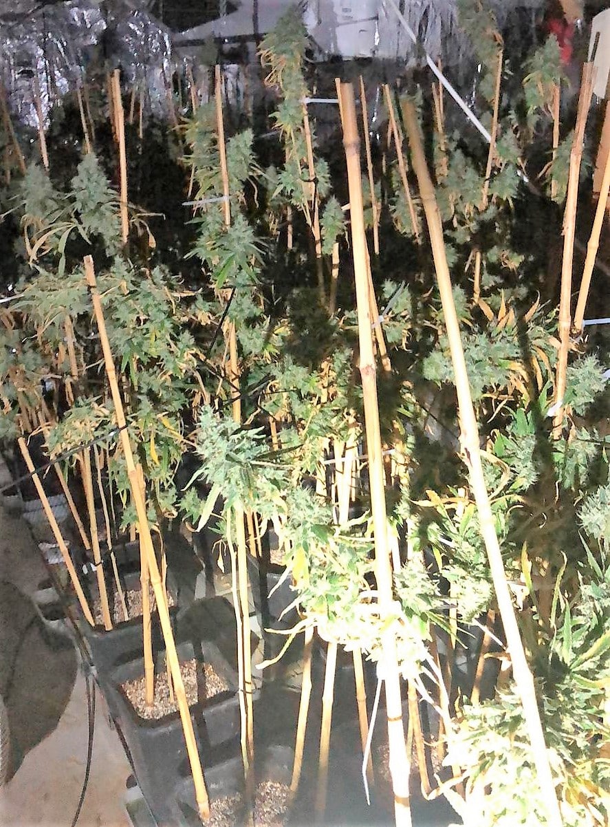 המעבדה שנתפסה בבית (צילום: דוברות המשטרה)