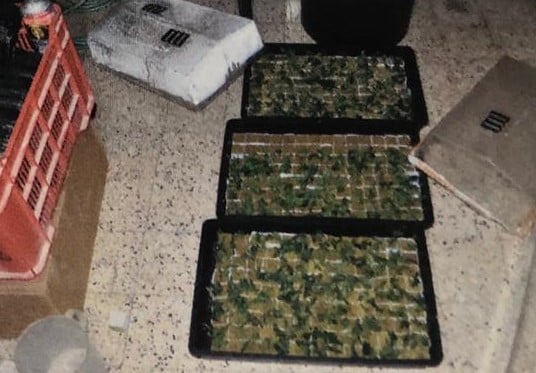 77 ק"ג נטו (צילומים: דוברות המשטרה)