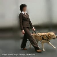 העיוורת שנדרסה ביקשה מהשופט להקל עם הנאשם (אילוסטרציה)