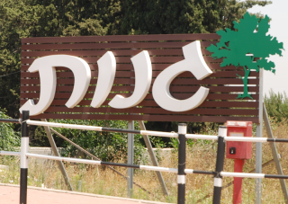 השכירו את החלקה תמורת 18 אלף דולר בחודש. גנות