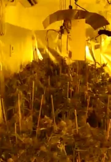 לחצו על התמונה לצפייה בסרטון המעבדה של ארז אליאב