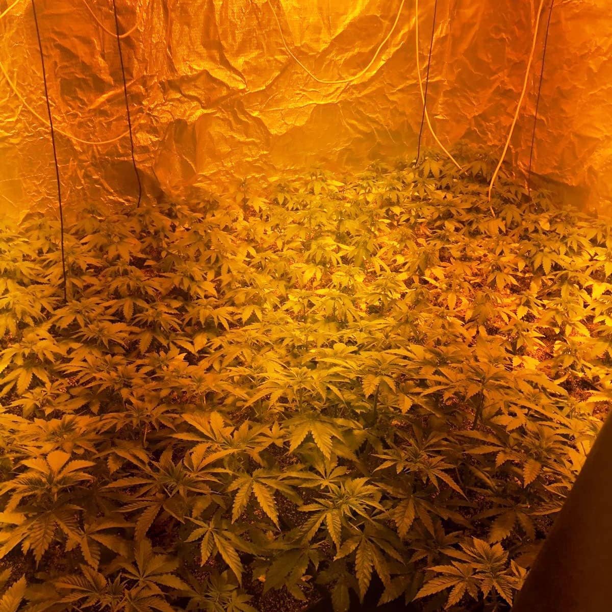 המעבדה שנחשפה (צילום: דוברות המשטרה)