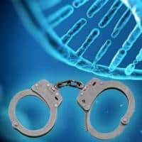 איור להמחשה