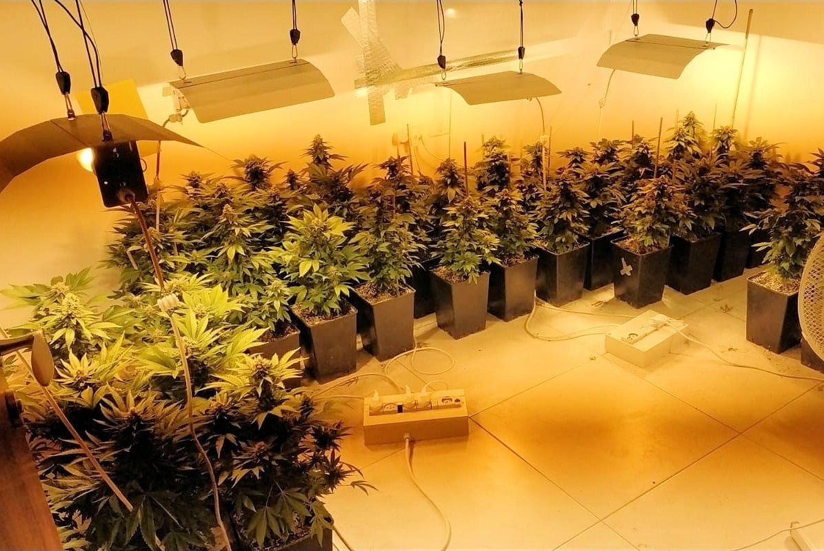 המעבדה ברחובות