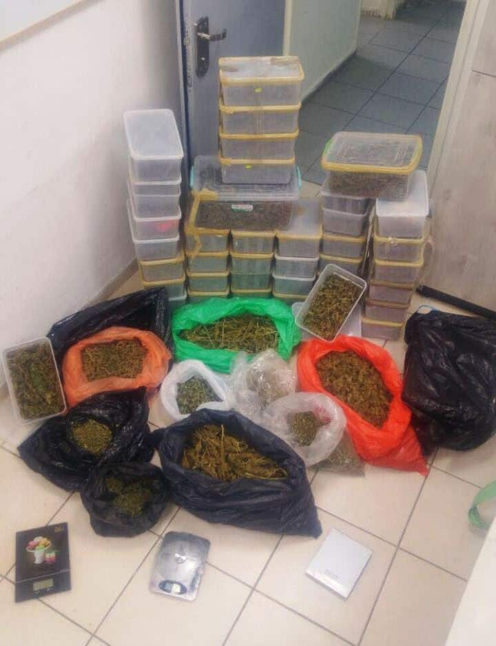 ממצאי החיפוש המשטרתי: ערמות קנאביס, חלקן בחלוקה לקופסאות