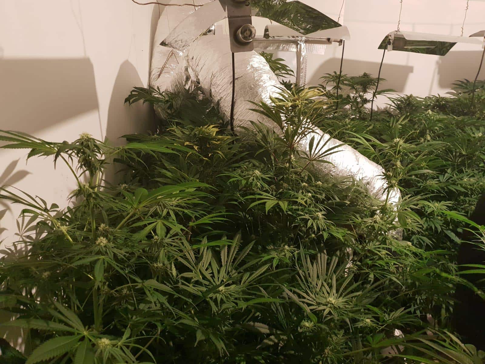 אחת המעבדות שנתפסו (צילומים: דוברות המשטרה)