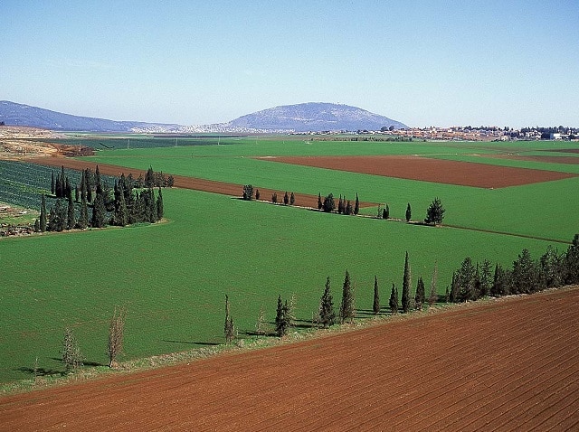 בעלי המשקים נידונו לעבודות שירות ולקנסות. עמק יזרעאל