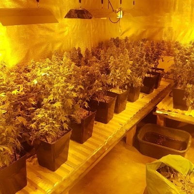 עוד מבט למעבדה שהוקמה במושב