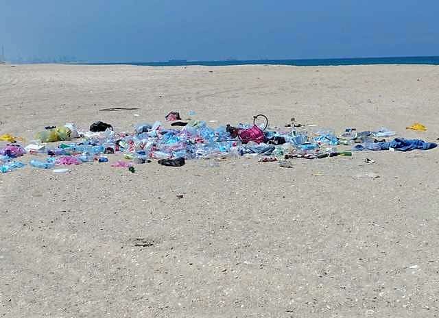 התנגדו לנקות את החוף במשך שנים. פסולת בחוף פלמחים