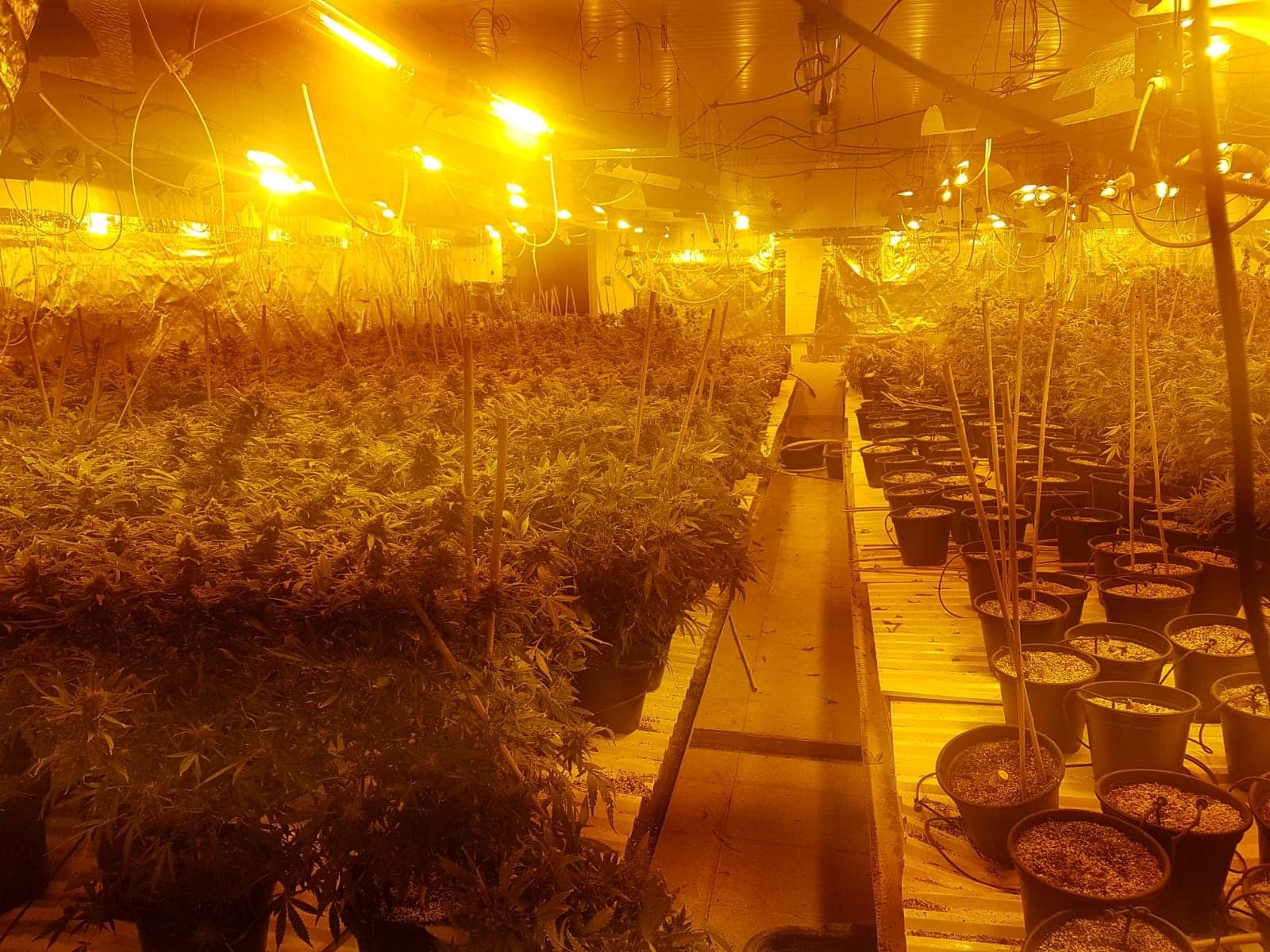 המעבדה שנחשפה (צילום: דוברות המשטרה)