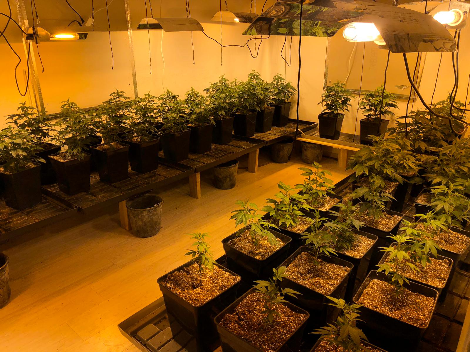 המעבדה בהרצליה (צילום: משטרה)