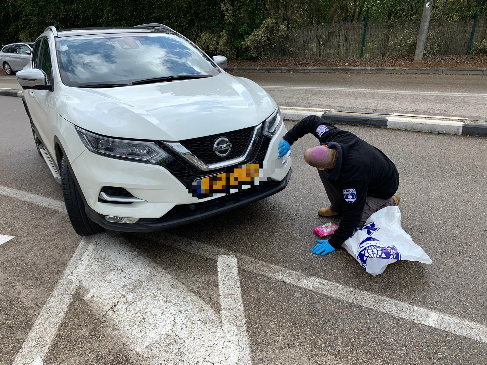 בדיקת הרכב הפוגע בזירה