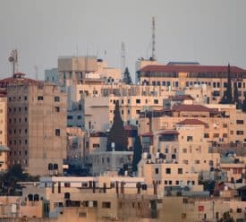 טול כרם (צילום: גילי יערי