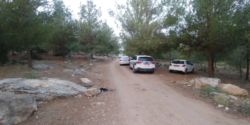 זירת הרצח ביער מודיעין (צילום: משטרה)