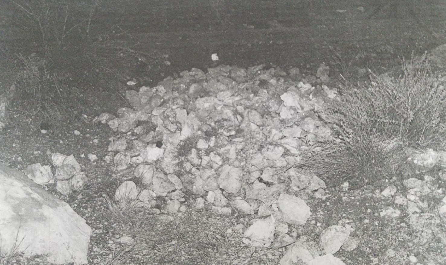 המשטרה לא בדקה כמה זמן לוקח ליצור מערום כזה של אבנים. הזירה בה נמצאה הגופה