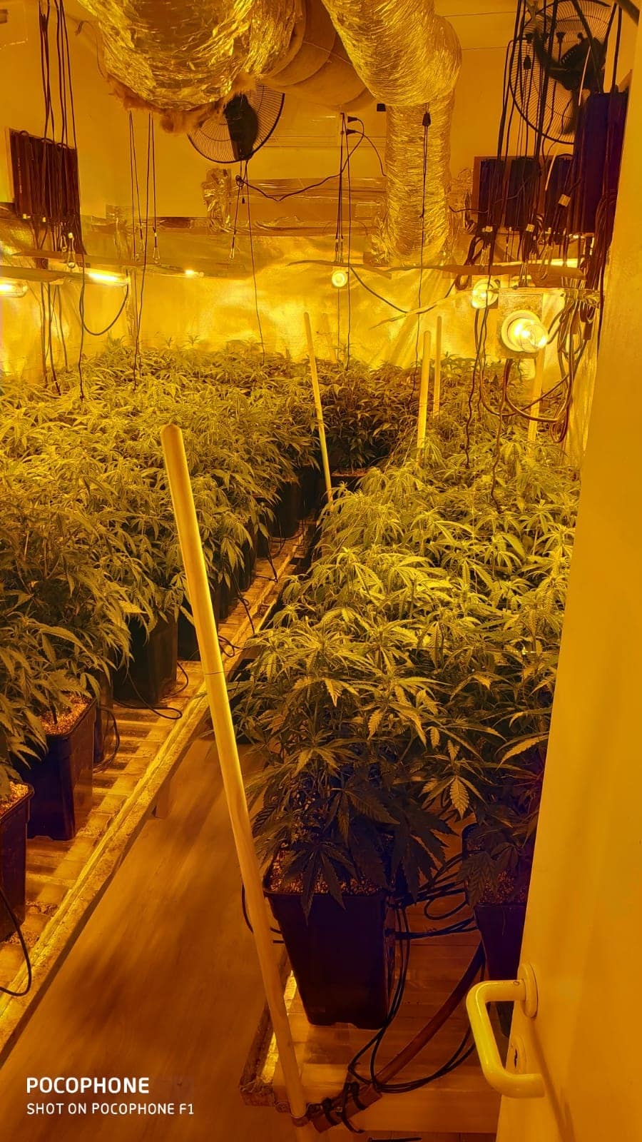 המעבדה שנחשפה