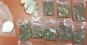 שלושה נאשמים בייבוא סדרתי של זרעי קנאביס