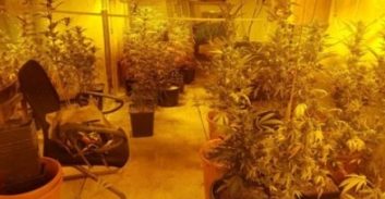 כ – 200 ק"ג קנאביס אותרו במעבדה בדרום ת"א