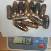 קפסולות, זרגים, שנפלטו מבטן של בלד. תמונת ארכיון להמחשה)