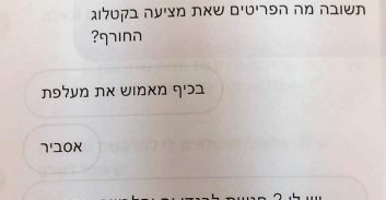 התחזה ברשת לבעלת חברה להלבשה תחתונה, וקיבל מנשים תמונות אינטימיות