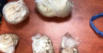 חיפה: שני אחים נעצרו בחשד לסחר בהרואין וקריסטל