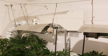 טירת הכרמל: חשוד בהפעלת שתי מעבדות מריחואנה שוחרר למעצר בית