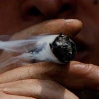 לפי רוב, לא נתפסים סמים אחרים מלבד קנאביס