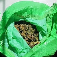 כמעט קילו קנאביס בשקית (צילום ארכיון להמחשה)