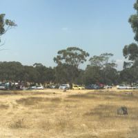 ברקע: מסיבת הטבע בה השתתפה החיילת (צילום: משטרה)