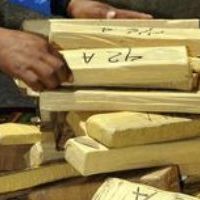 הברחת קוקאין תמונה להמחשה