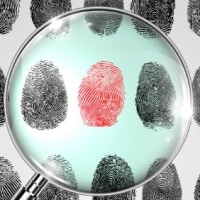 אילוסטרציה (FREEPIK)