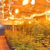 מעבדת הידרו (צילום ארכיון להמחשה)