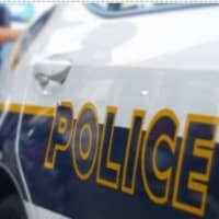 ניסה לחטוף נשק משוטר ליווי