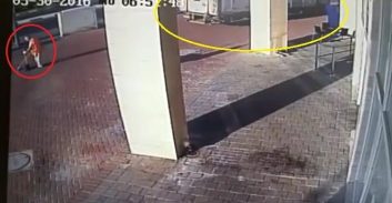 עבודות שירות לנהג משאית שדרס למוות מנקה רחובות