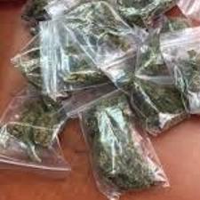 59 גרם קנאביס ברכב (צילום ארכיון להמחשה: דוברות המשטרה)